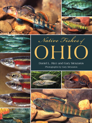 cover image of Native Fishes of Ohio